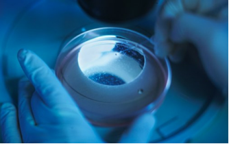 1531995936717020rkVu.png 48.png