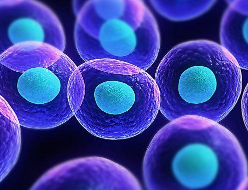 15320453205270152zEq.png 圖片1.png