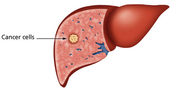 15320517294541183XSC.png 圖片193.png