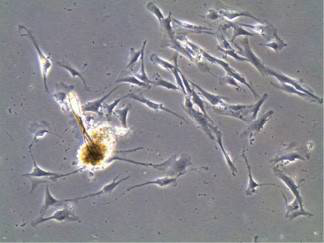 1537424655741813t4ot.png 圖片2.png