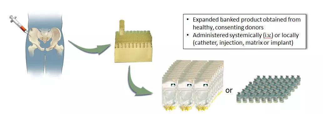 15552963505626170bwd.jpg 1.jpg