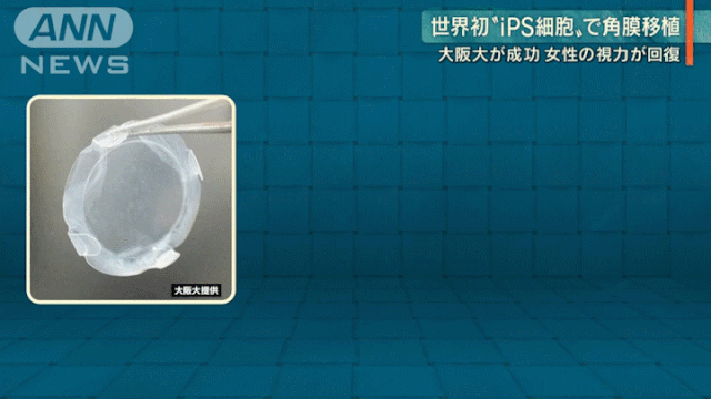 1568162288695304rpH5.gif 3.gif